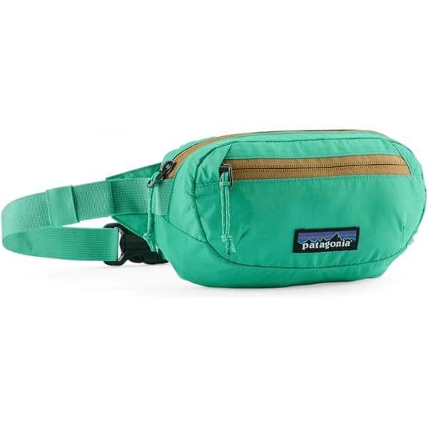 Amazon | Patagonia Terravia ミニヒップパック。, ブラック, OS